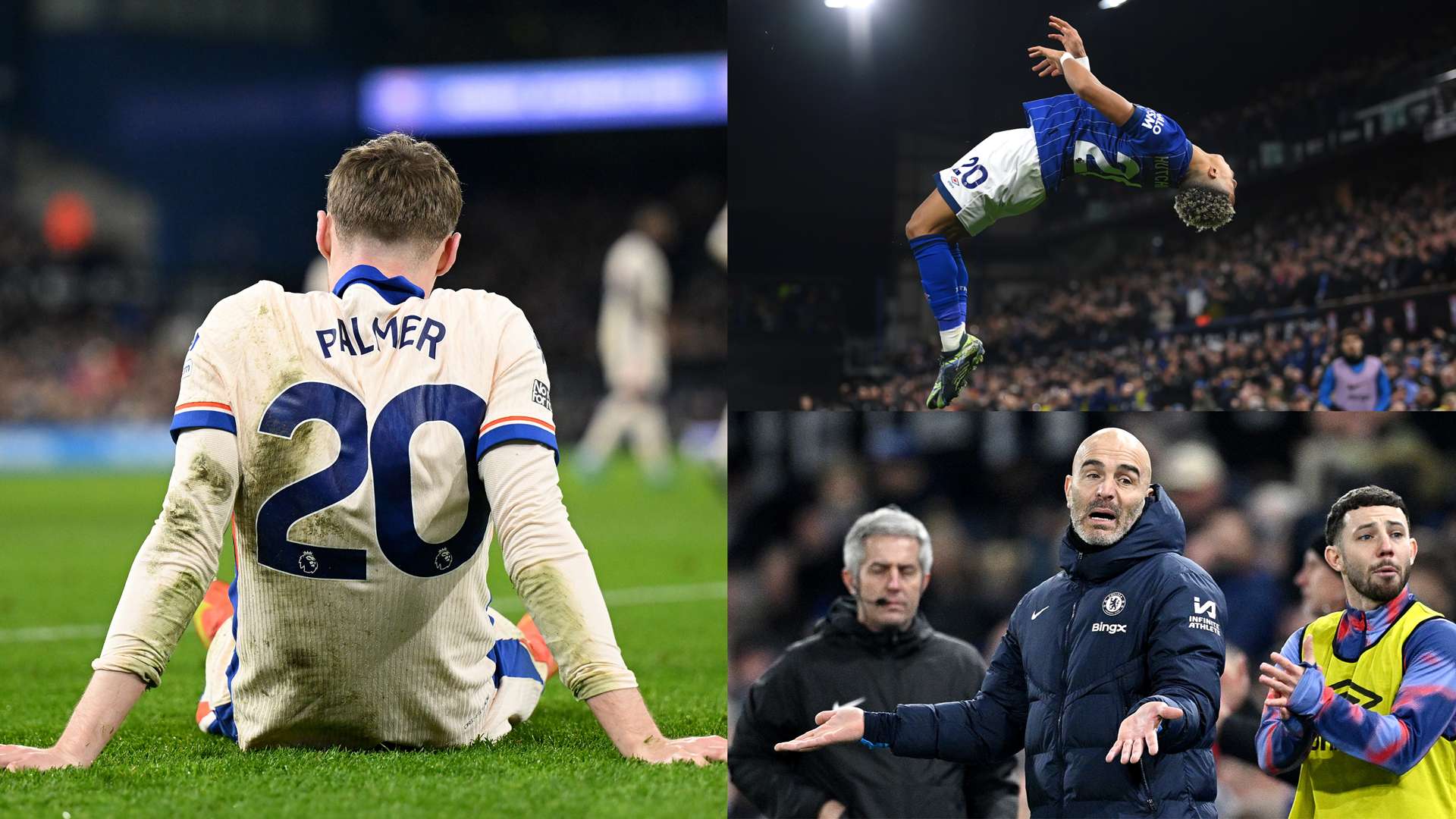 分红数据显 分红数据显