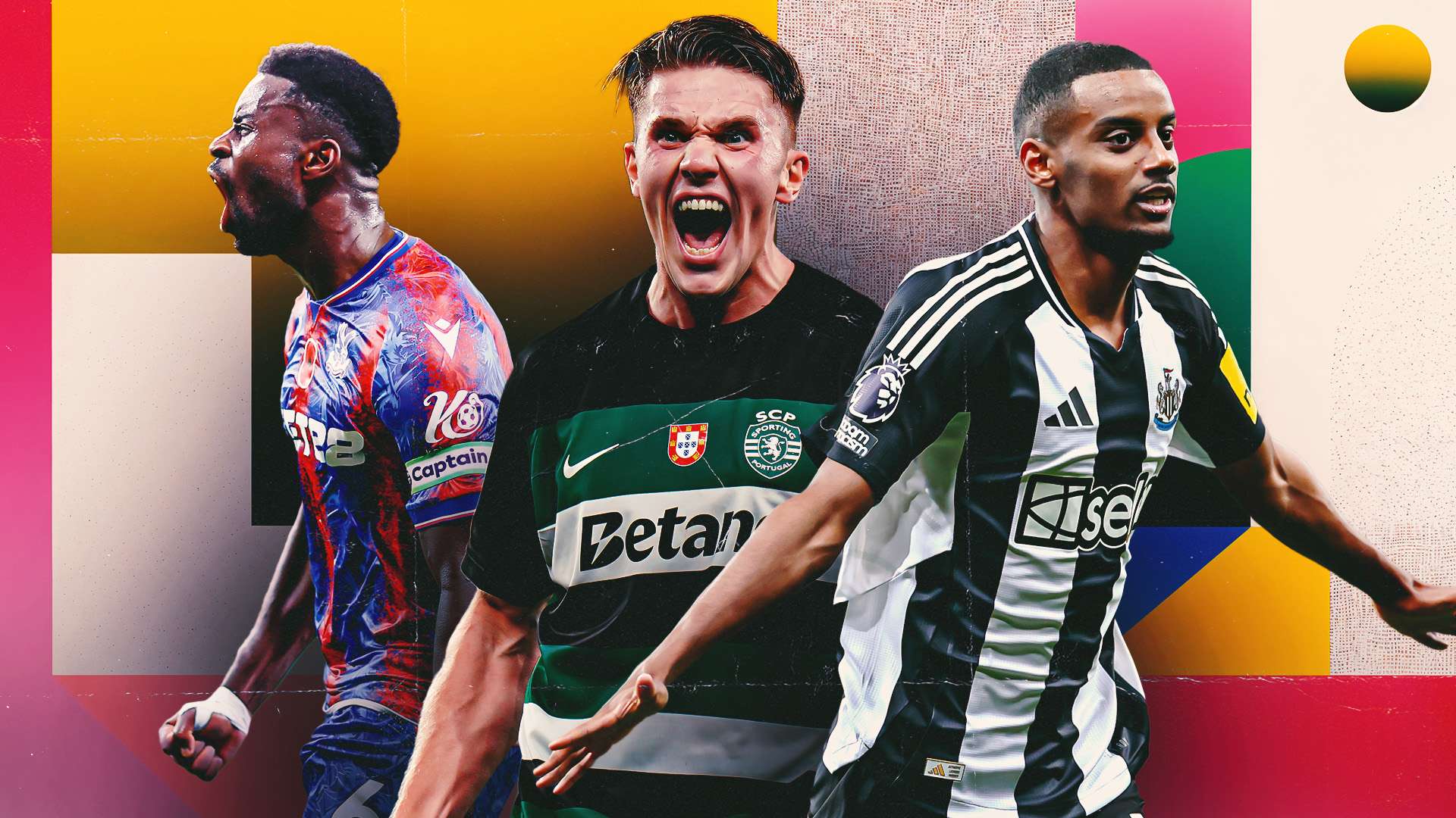 不仅提升了 不仅提升了